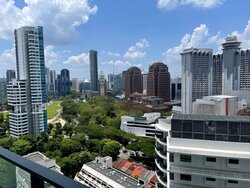 The Suites At Central (D9), Condominium #457227071